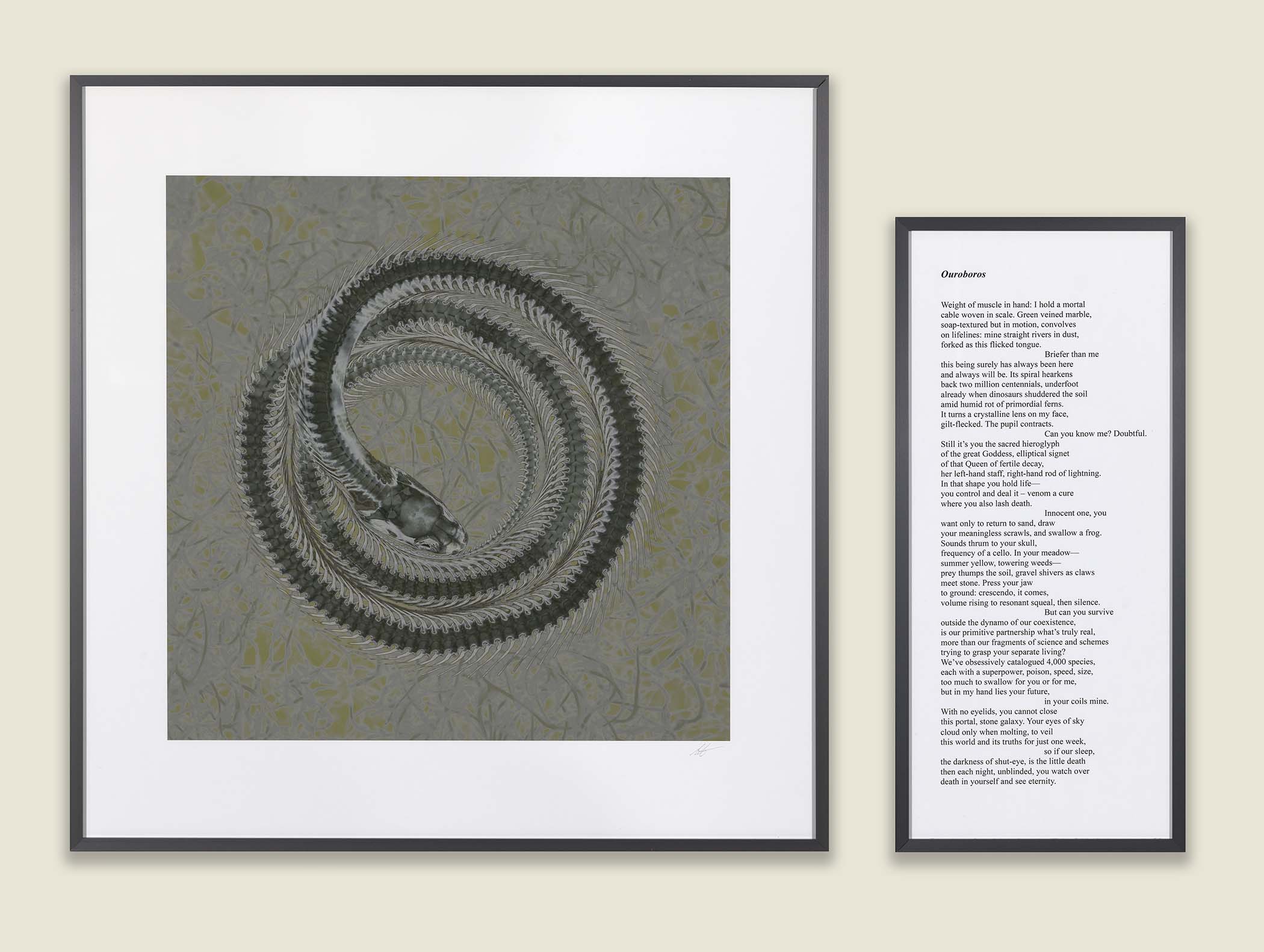 Common King Snake/Ouroboros – R. MICHELSON GALLERIES